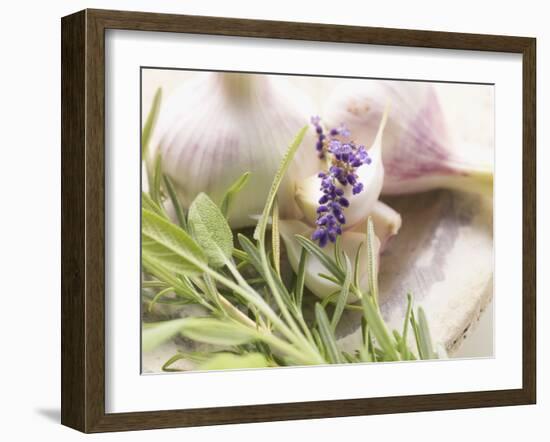 Fresh Herbs and Garlic-Eising Studio - Food Photo and Video-Framed Photographic Print