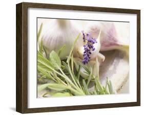 Fresh Herbs and Garlic-Eising Studio - Food Photo and Video-Framed Photographic Print