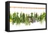 Fresh Herbs Hanging Isolated on White. Basil, Rosemary, Thyme, Mint-LiliGraphie-Framed Stretched Canvas