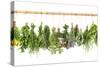 Fresh Herbs Hanging Isolated on White. Basil, Rosemary, Thyme, Mint-LiliGraphie-Stretched Canvas