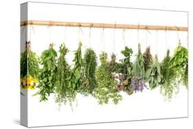 Fresh Herbs Hanging Isolated on White. Basil, Rosemary, Thyme, Mint-LiliGraphie-Stretched Canvas