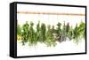 Fresh Herbs Hanging Isolated on White. Basil, Rosemary, Thyme, Mint-LiliGraphie-Framed Stretched Canvas