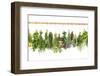 Fresh Herbs Hanging Isolated on White. Basil, Rosemary, Thyme, Mint-LiliGraphie-Framed Premium Photographic Print