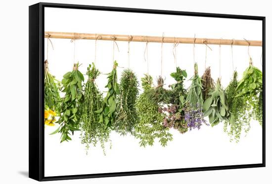 Fresh Herbs Hanging Isolated on White. Basil, Rosemary, Thyme, Mint-LiliGraphie-Framed Stretched Canvas