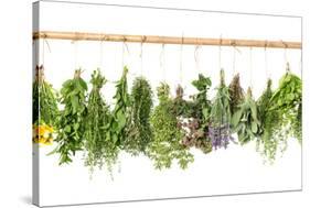 Fresh Herbs Hanging Isolated on White. Basil, Rosemary, Thyme, Mint-LiliGraphie-Stretched Canvas