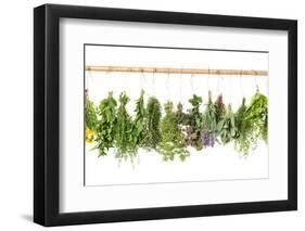 Fresh Herbs Hanging Isolated on White. Basil, Rosemary, Thyme, Mint-LiliGraphie-Framed Photographic Print