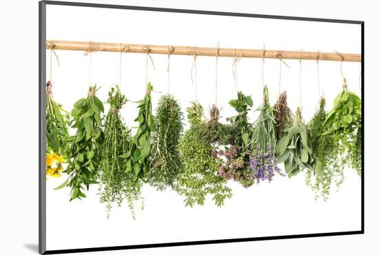 Fresh Herbs Hanging Isolated on White. Basil, Rosemary, Thyme, Mint-LiliGraphie-Mounted Photographic Print