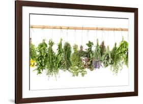 Fresh Herbs Hanging Isolated on White. Basil, Rosemary, Thyme, Mint-LiliGraphie-Framed Photographic Print