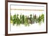 Fresh Herbs Hanging Isolated on White. Basil, Rosemary, Thyme, Mint-LiliGraphie-Framed Photographic Print