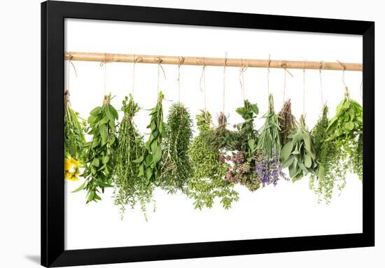 Fresh Herbs Hanging Isolated on White. Basil, Rosemary, Thyme, Mint-LiliGraphie-Framed Photographic Print