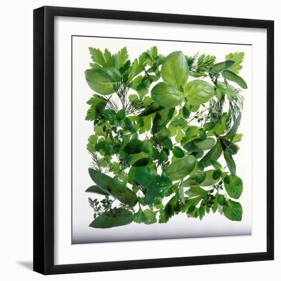 Fresh Herbs in Square-Barbara Bonisolli-Framed Photographic Print