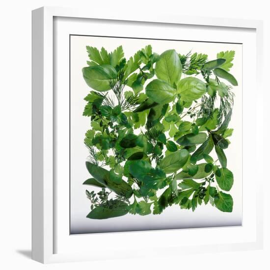Fresh Herbs in Square-Barbara Bonisolli-Framed Photographic Print