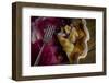 Fresh, Homemade Blueberry Pie Partially Eaten-Cynthia Classen-Framed Photographic Print