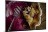 Fresh, Homemade Blueberry Pie Partially Eaten-Cynthia Classen-Mounted Photographic Print