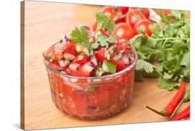 Fresh Hot Raw Salsa with Tomatoes, Onions, Chili and Cilantro-Olgany-Stretched Canvas