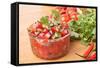 Fresh Hot Raw Salsa with Tomatoes, Onions, Chili and Cilantro-Olgany-Framed Stretched Canvas