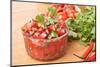 Fresh Hot Raw Salsa with Tomatoes, Onions, Chili and Cilantro-Olgany-Mounted Photographic Print