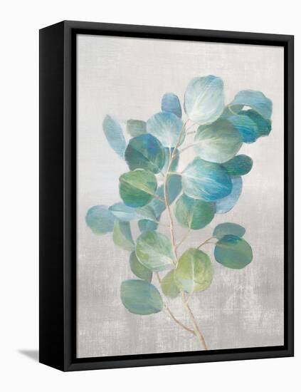 Fresh I Gray-Danhui Nai-Framed Stretched Canvas