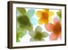 Fresh I-Hannah Carlson-Framed Art Print