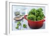 Fresh Kale in a Pot on Gray Wooden Table-Jana Ihle-Framed Photographic Print