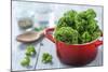 Fresh Kale in a Pot on Gray Wooden Table-Jana Ihle-Mounted Photographic Print