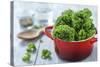 Fresh Kale in a Pot on Gray Wooden Table-Jana Ihle-Stretched Canvas