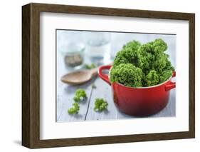 Fresh Kale in a Pot on Gray Wooden Table-Jana Ihle-Framed Photographic Print