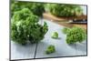 Fresh Kale on Gray Wooden Table-Jana Ihle-Mounted Photographic Print