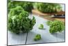 Fresh Kale on Gray Wooden Table-Jana Ihle-Mounted Photographic Print