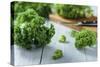 Fresh Kale on Gray Wooden Table-Jana Ihle-Stretched Canvas
