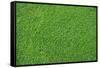 Fresh Lawn Grass-idizimage-Framed Stretched Canvas