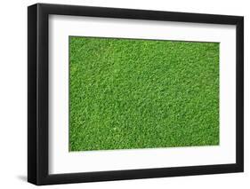 Fresh Lawn Grass-idizimage-Framed Photographic Print