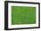 Fresh Lawn Grass-idizimage-Framed Photographic Print