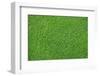 Fresh Lawn Grass-idizimage-Framed Photographic Print