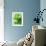 Fresh Lemon Balm-Axel Weiss-Framed Photographic Print displayed on a wall