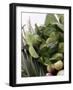 Fresh Lemon Leaves with Drops of Water-Foodcollection-Framed Photographic Print