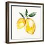 Fresh Lemons I-Stella Chang-Framed Art Print