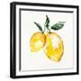 Fresh Lemons I-Stella Chang-Framed Art Print