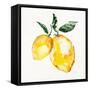 Fresh Lemons I-Stella Chang-Framed Stretched Canvas
