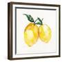 Fresh Lemons II-Stella Chang-Framed Art Print