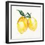 Fresh Lemons II-Stella Chang-Framed Art Print