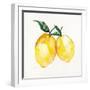 Fresh Lemons II-Stella Chang-Framed Art Print