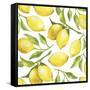 Fresh Lemons, Tree Branches, and Green Leaves-Maria Mirnaya-Framed Stretched Canvas