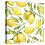 Fresh Lemons, Tree Branches, and Green Leaves-Maria Mirnaya-Stretched Canvas