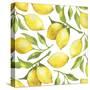 Fresh Lemons, Tree Branches, and Green Leaves-Maria Mirnaya-Stretched Canvas