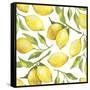 Fresh Lemons, Tree Branches, and Green Leaves-Maria Mirnaya-Framed Stretched Canvas