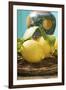 Fresh Lemons with Leaves on Wicker Tray-Foodcollection-Framed Photographic Print