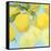 Fresh Lemons-Martha Negley-Framed Stretched Canvas