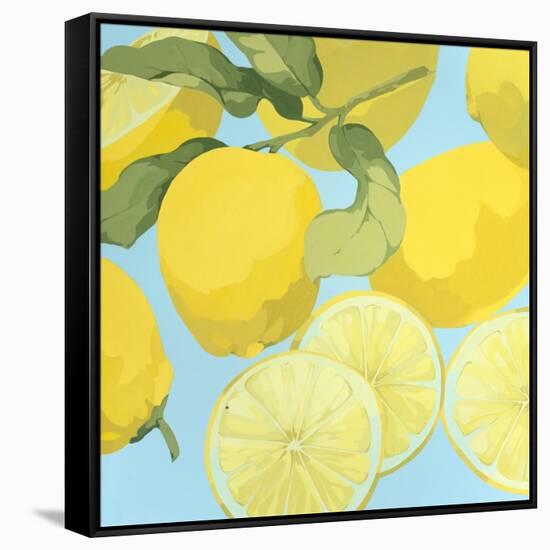 Fresh Lemons-Martha Negley-Framed Stretched Canvas