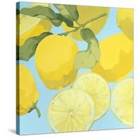 Fresh Lemons-Martha Negley-Stretched Canvas